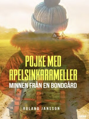 cover image of Pojke med apelsinkarameller